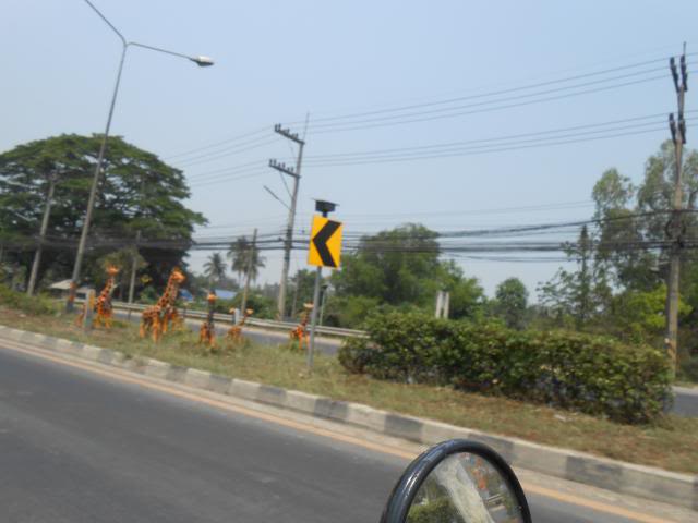 DSCN0749.jpg