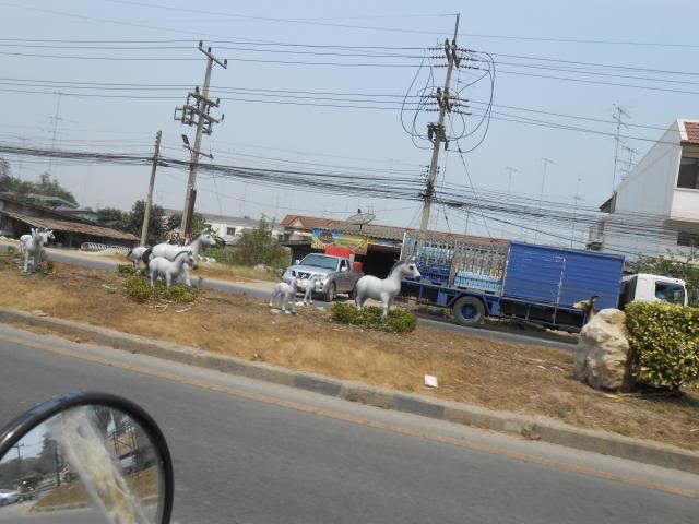 DSCN0750.jpg