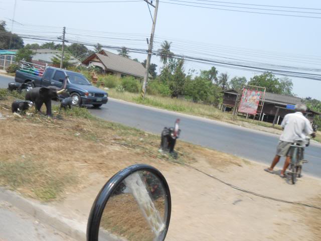 DSCN0752.jpg