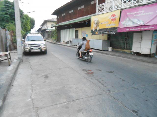 DSCN0779.jpg