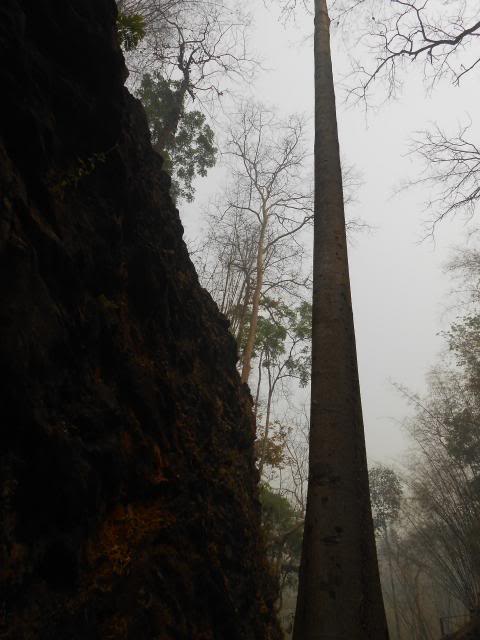 DSCN0810.jpg