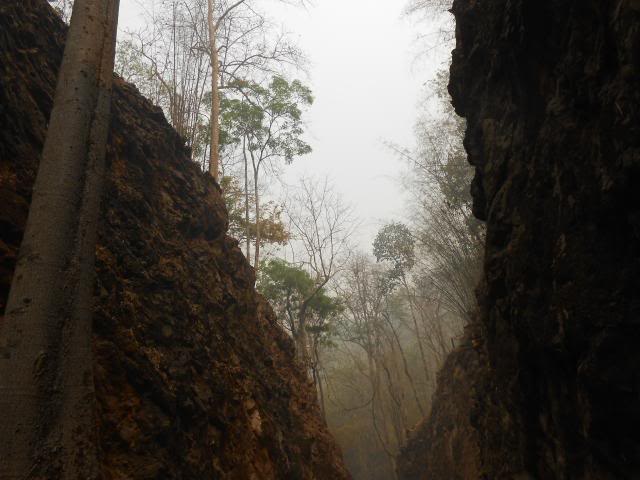 DSCN0814.jpg