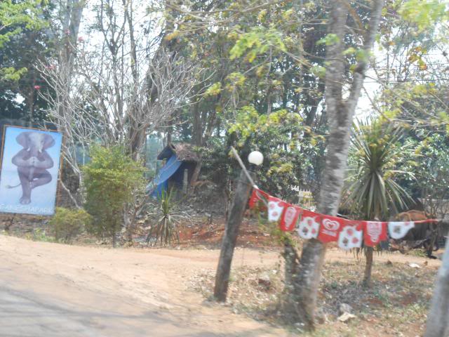 DSCN0894.jpg