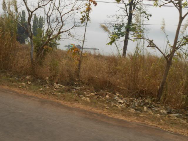 DSCN0900.jpg