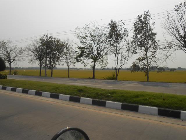 DSCN1035.jpg