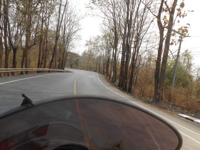 DSCN1105.jpg