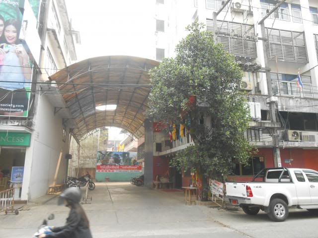 DSCN1194.jpg