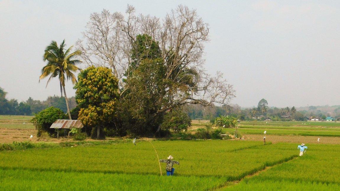DSCN1216.jpg