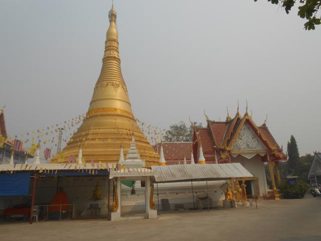 DSCN1218.jpg