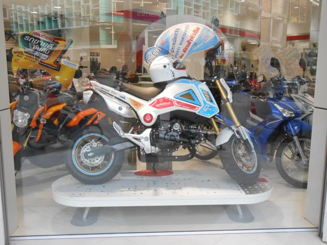 DSCN1229.jpg