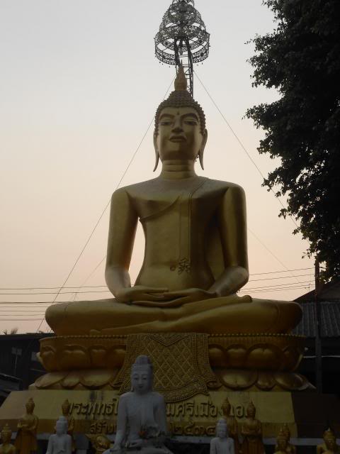 DSCN1240.jpg
