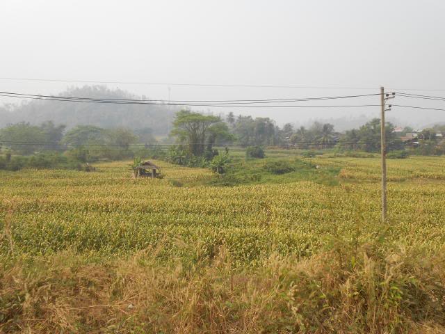 DSCN1293.jpg
