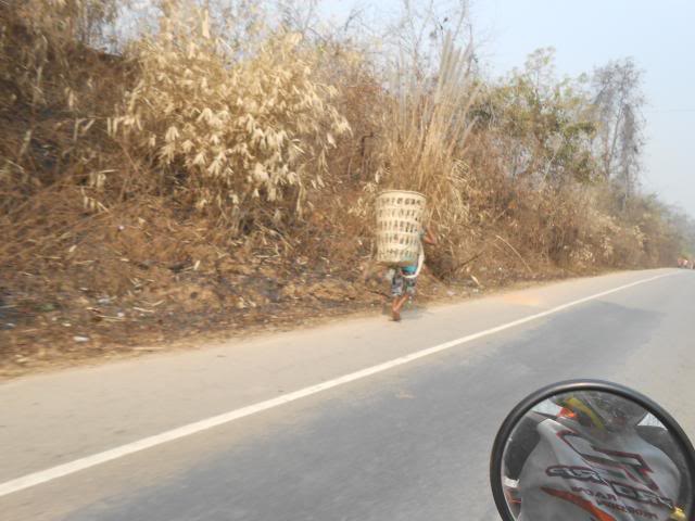DSCN1315.jpg