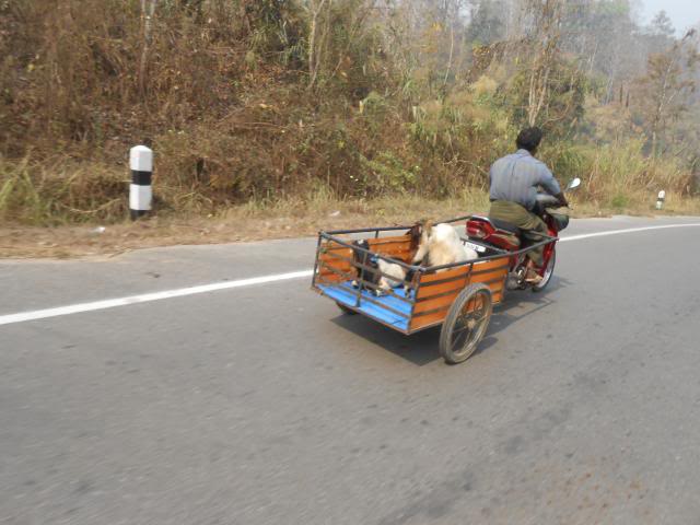 DSCN1319.jpg