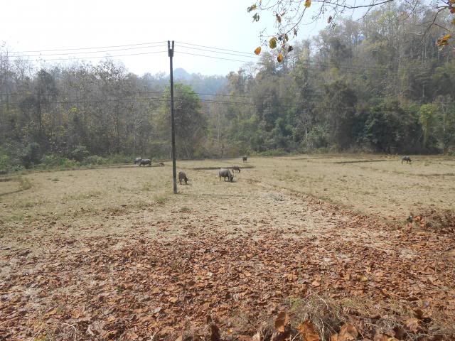 DSCN1327.jpg