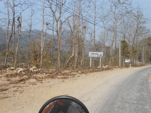 DSCN1342.jpg