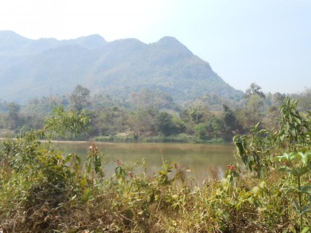 DSCN1361.jpg