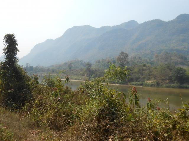 DSCN1362.jpg