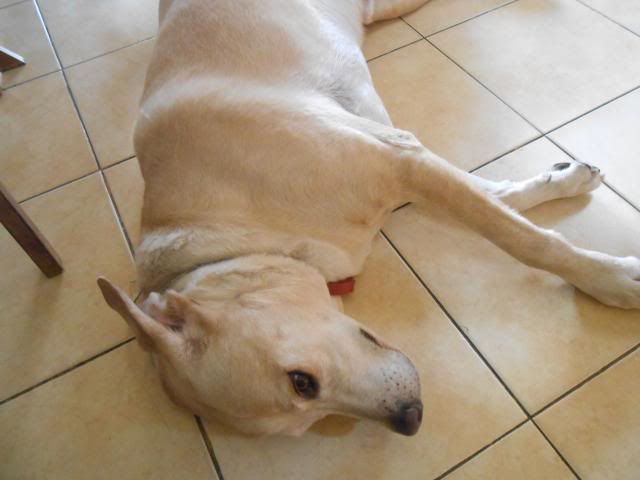 DSCN1514.jpg