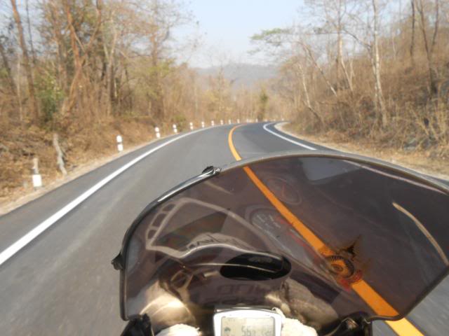 DSCN1617.jpg