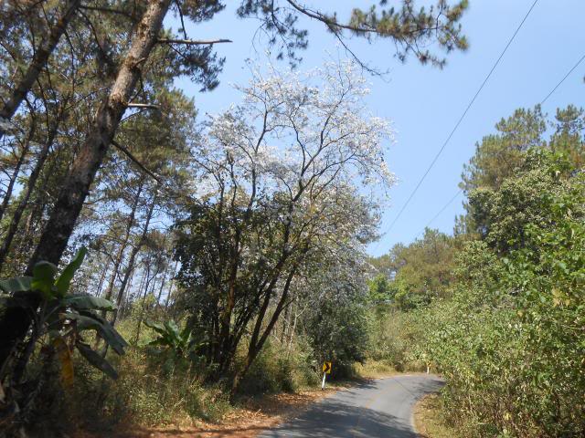 DSCN1645.jpg