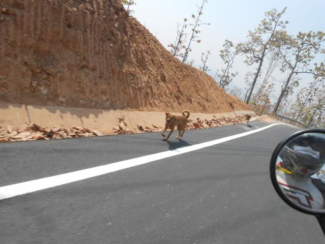 DSCN1650.jpg