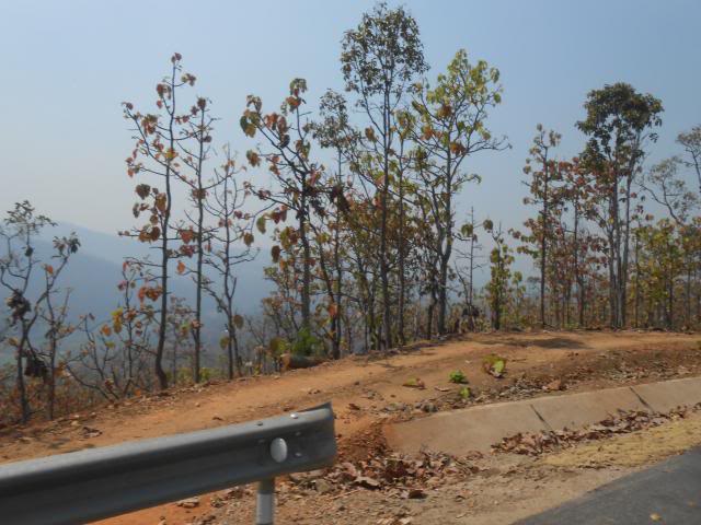 DSCN1651.jpg