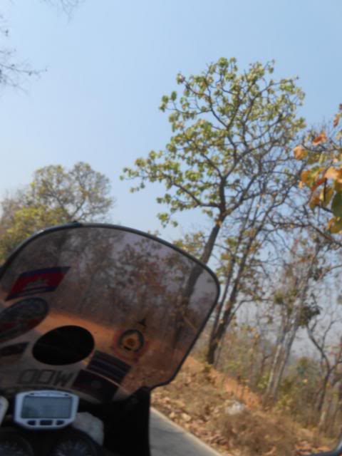 DSCN1652.jpg
