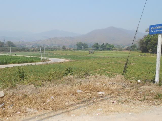 DSCN1664.jpg