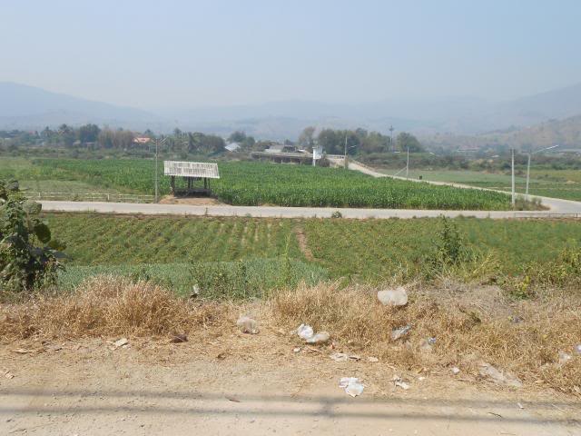 DSCN1665.jpg