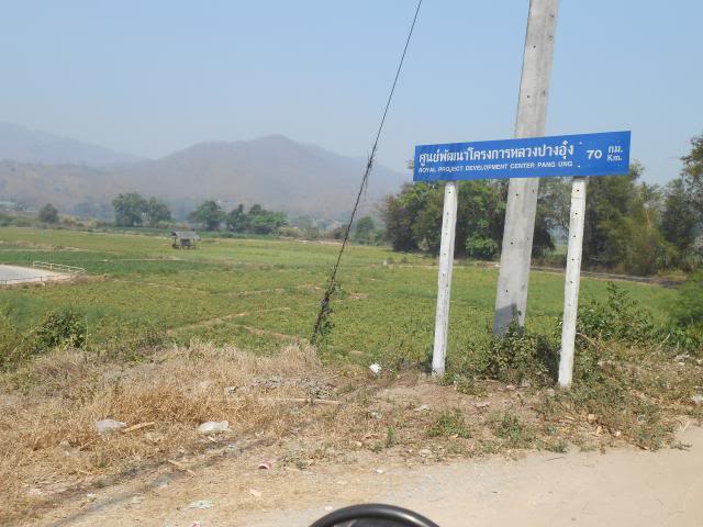 DSCN1667.jpg