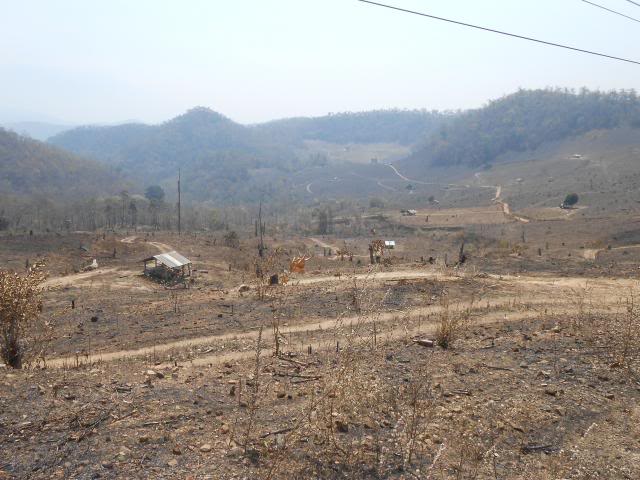 DSCN1680.jpg