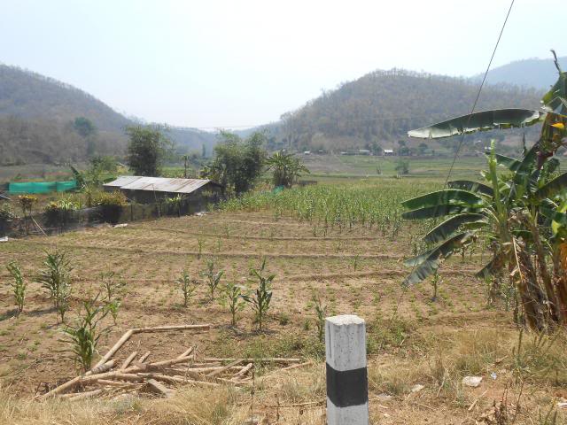 DSCN1697.jpg