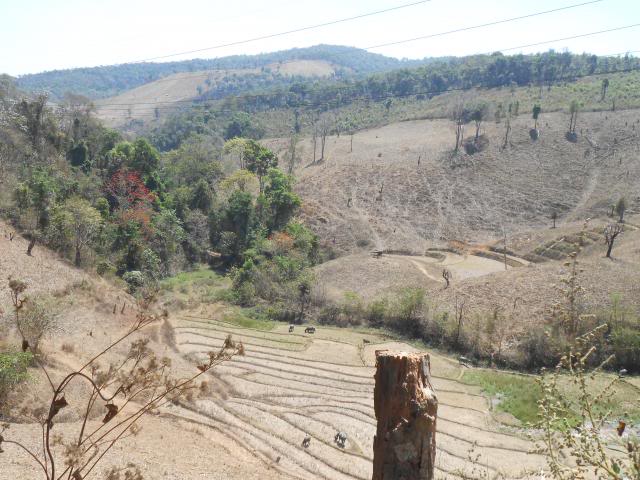 DSCN1727.jpg
