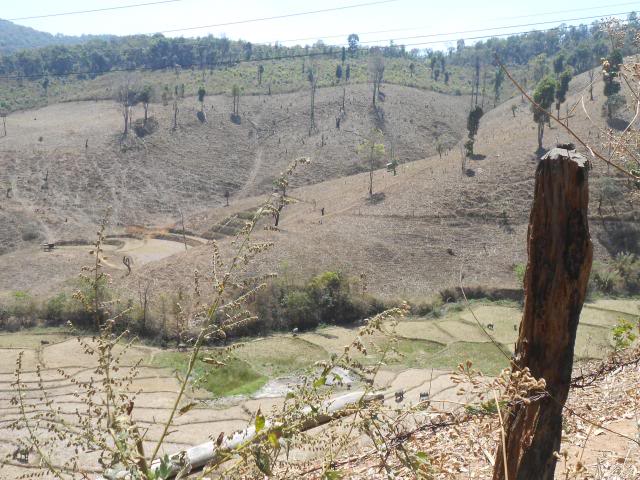 DSCN1728.jpg