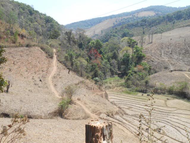 DSCN1729.jpg