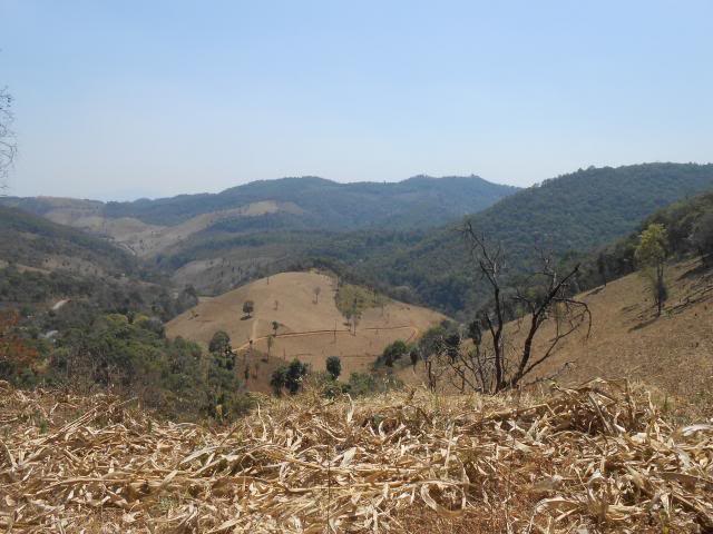 DSCN1738.jpg