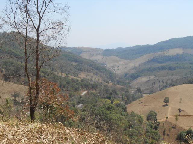 DSCN1740.jpg