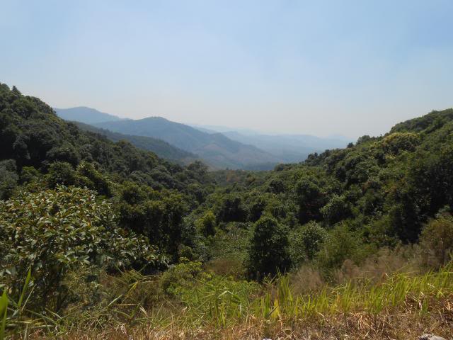 DSCN1778.jpg