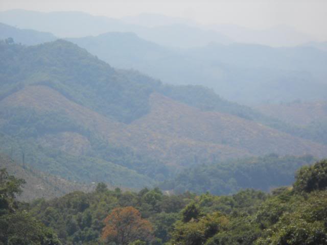 DSCN1779.jpg