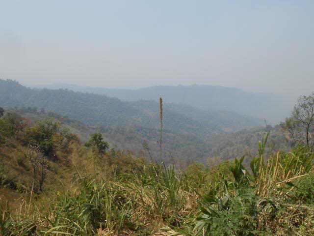 DSCN1934.jpg