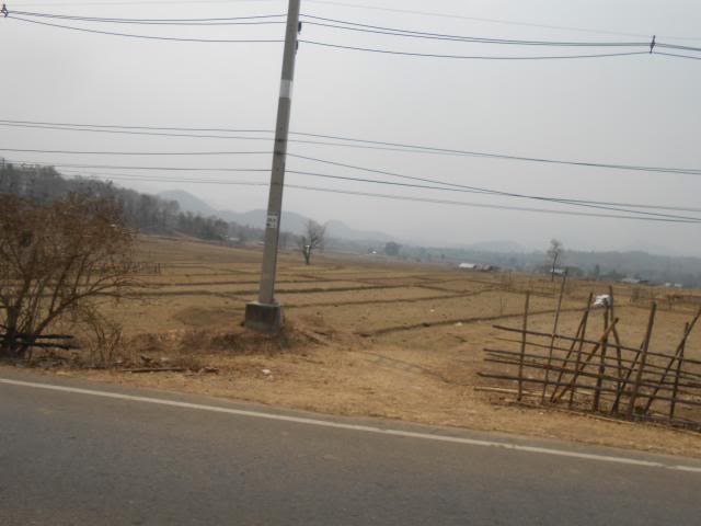DSCN1974.jpg