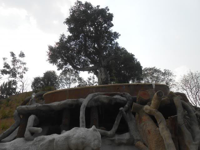 DSCN1980.jpg