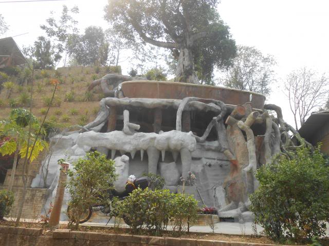 DSCN1982.jpg
