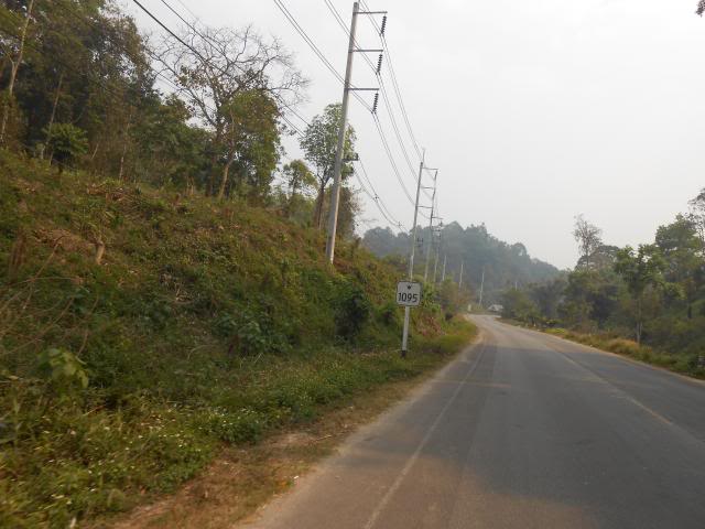 DSCN1998.jpg