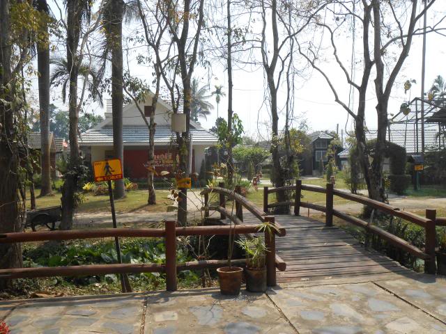 DSCN2183.jpg