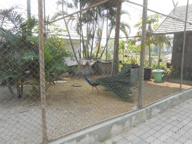DSCN2193.jpg