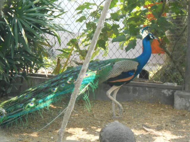DSCN2196.jpg