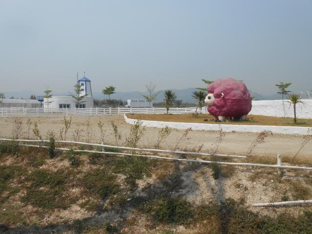DSCN2209.jpg