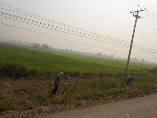 DSCN2329.jpg